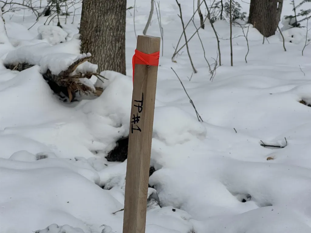 00 Loon Circle Londonderry VT 05155