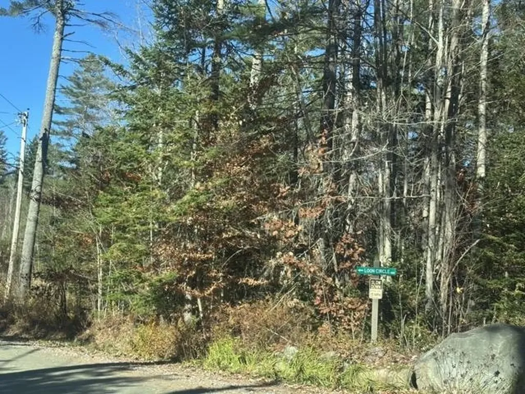 00 Loon Circle Londonderry VT 05155