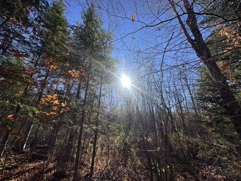 00 Loon Circle Londonderry VT 05155