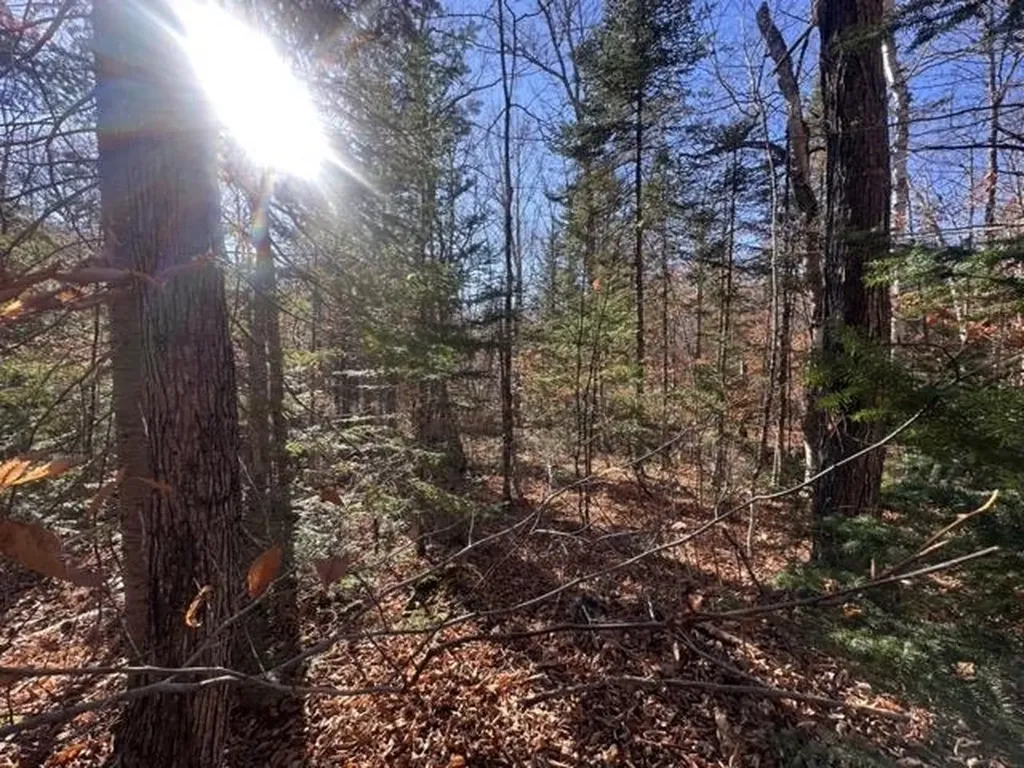 00 Loon Circle Londonderry VT 05155