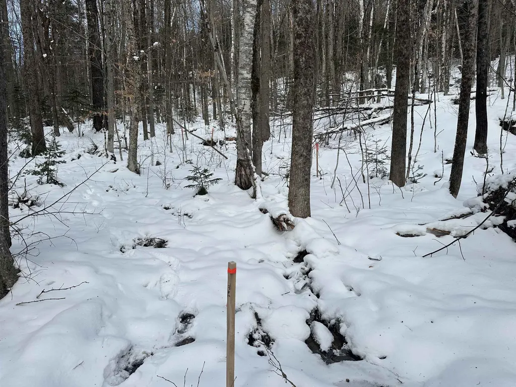 00 Loon Circle Londonderry VT 05155