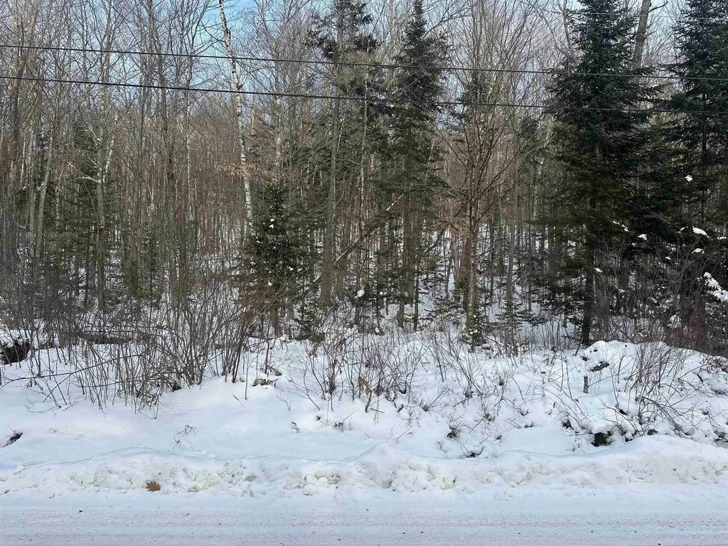 00 Loon Circle Londonderry VT 05155