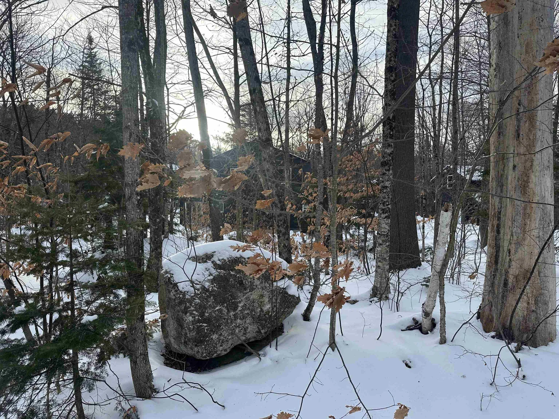 00 Loon Circle Londonderry VT 05155