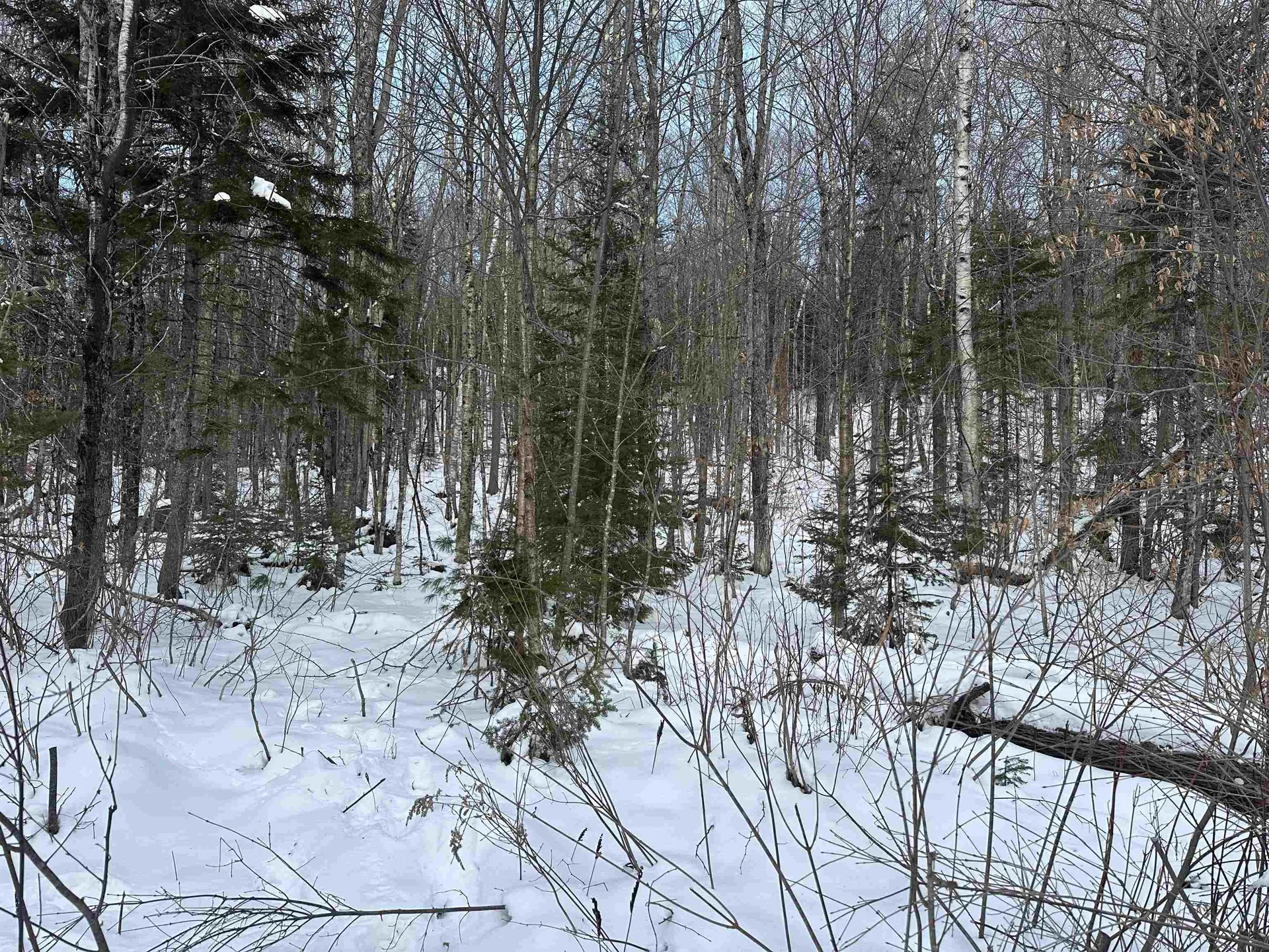 00 Loon Circle Londonderry VT 05155