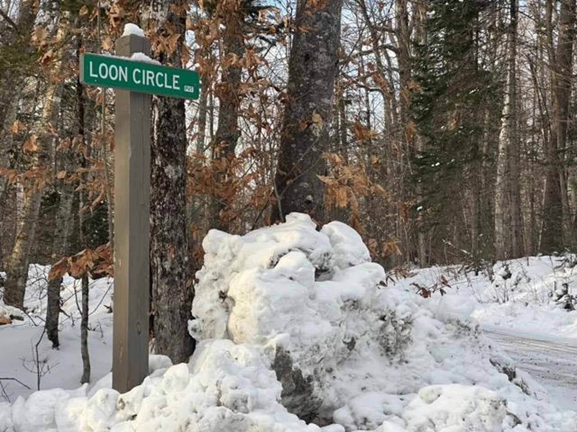 00 Loon Circle Londonderry VT 05155