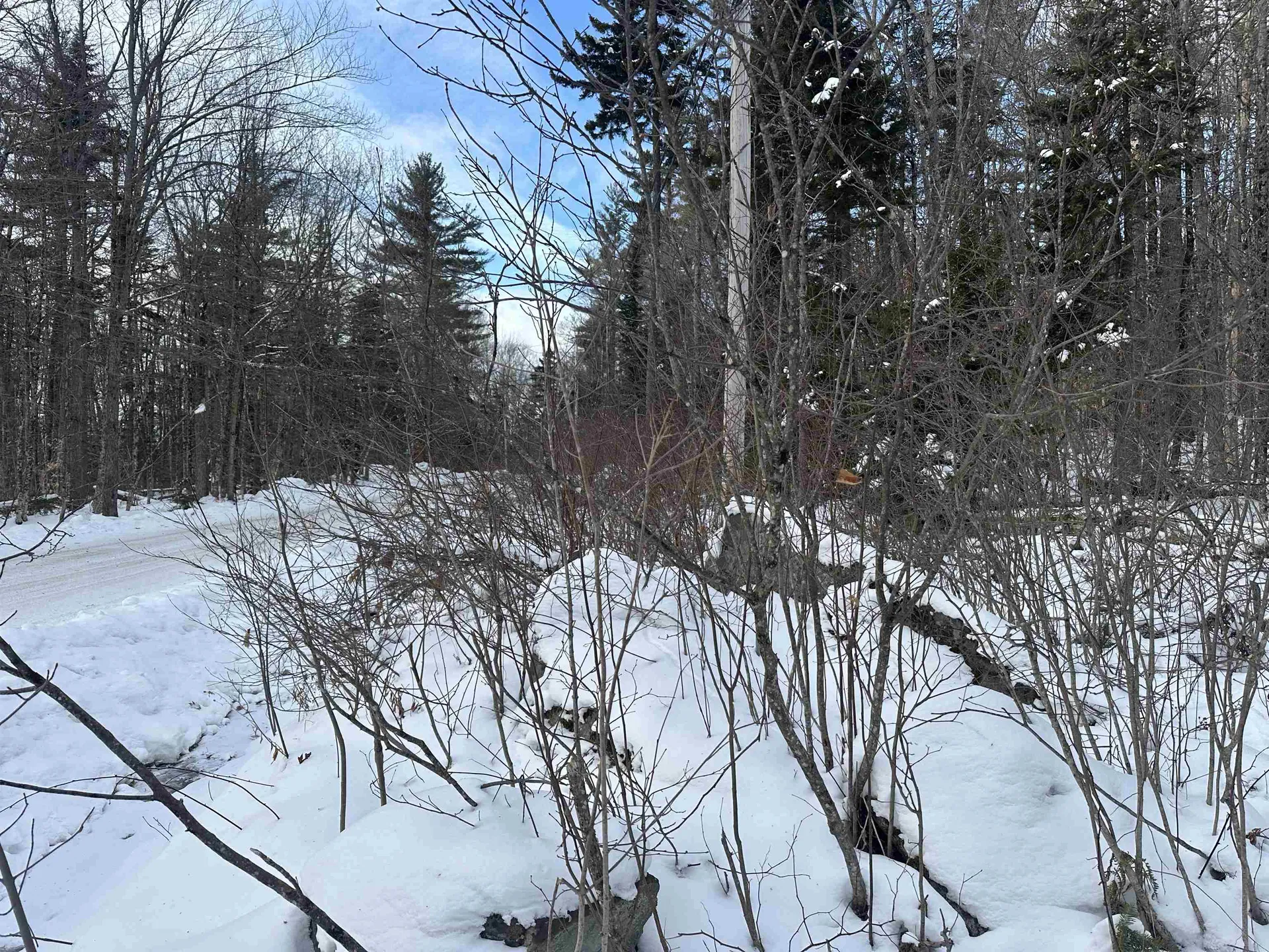 00 Loon Circle Londonderry VT 05155