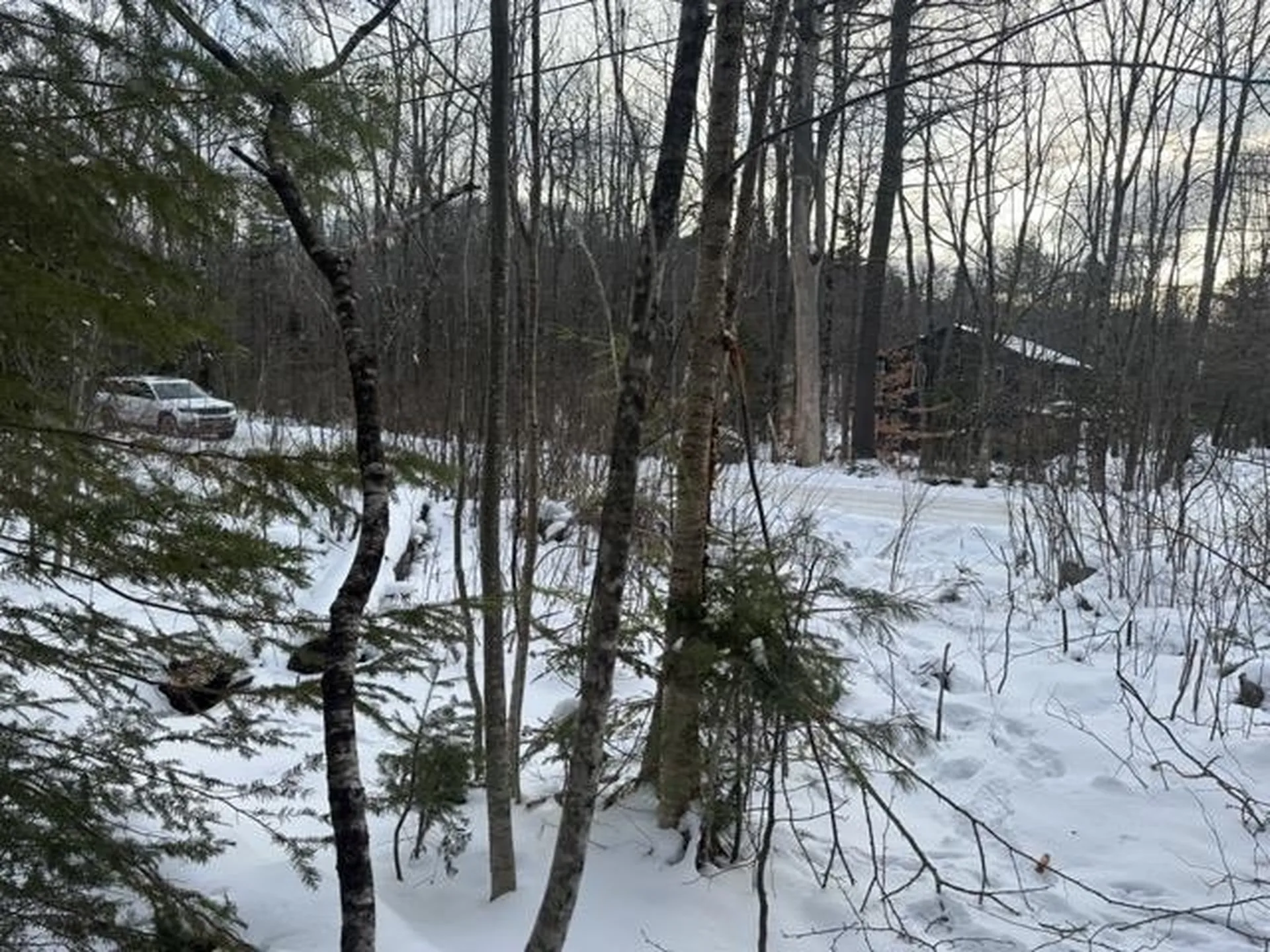 00 Loon Circle Londonderry VT 05155