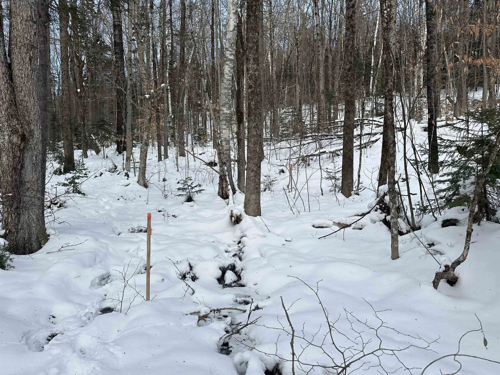 00 Loon Circle Londonderry VT 05155