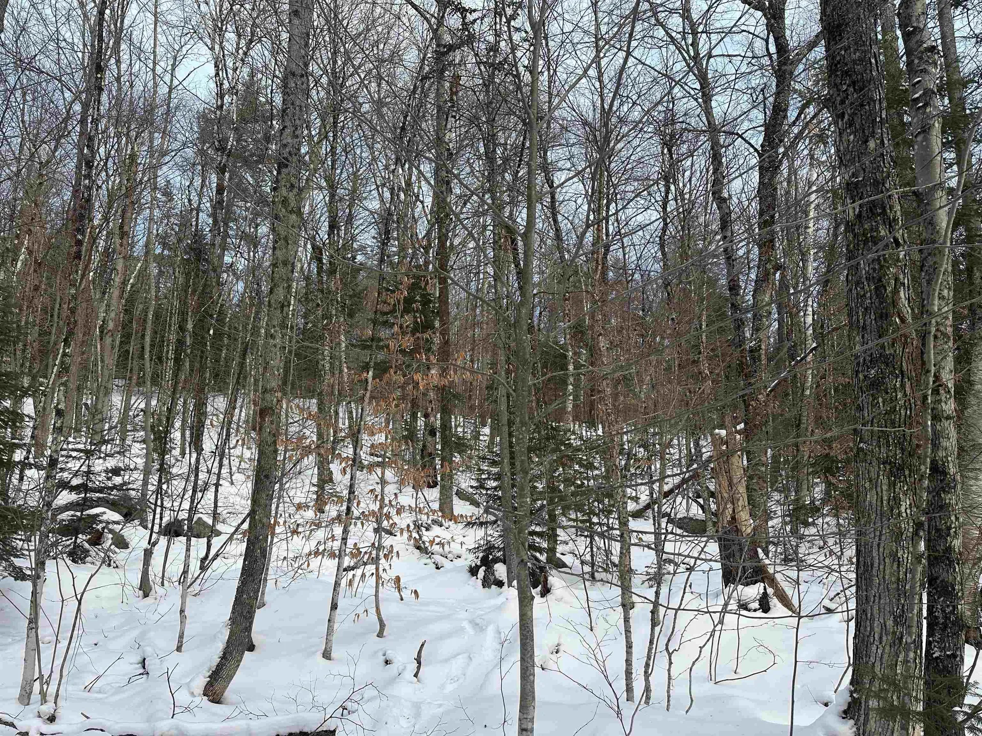 00 Loon Circle Londonderry VT 05155