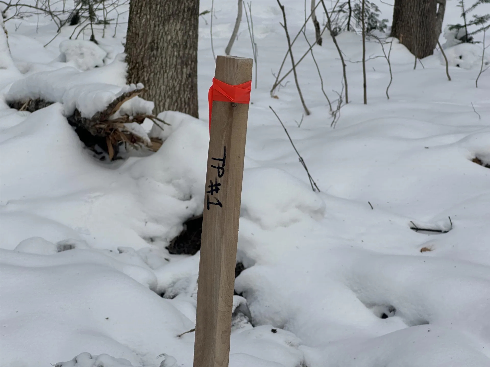 00 Loon Circle Londonderry VT 05155