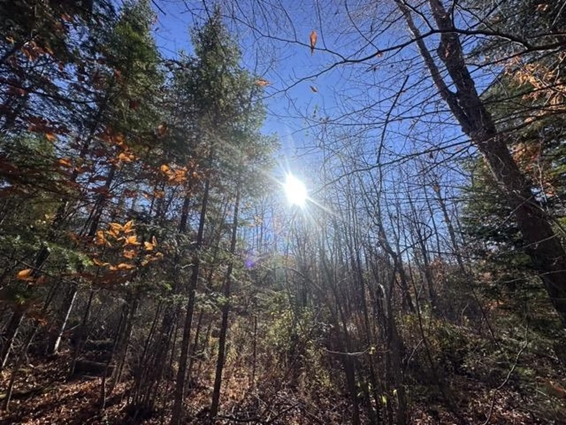 00 Loon Circle Londonderry VT 05155