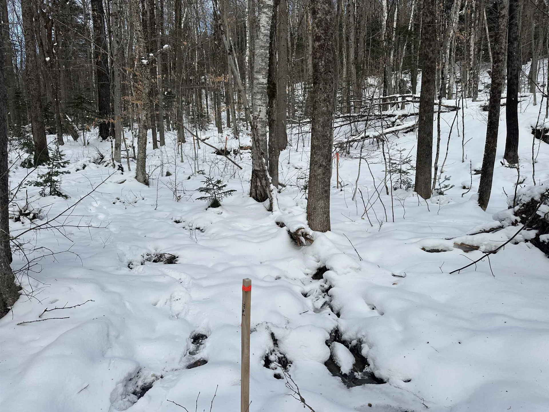 00 Loon Circle Londonderry VT 05155