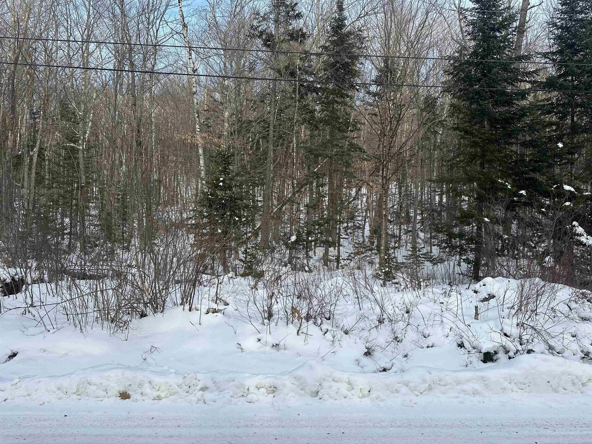 00 Loon Circle Londonderry VT 05155