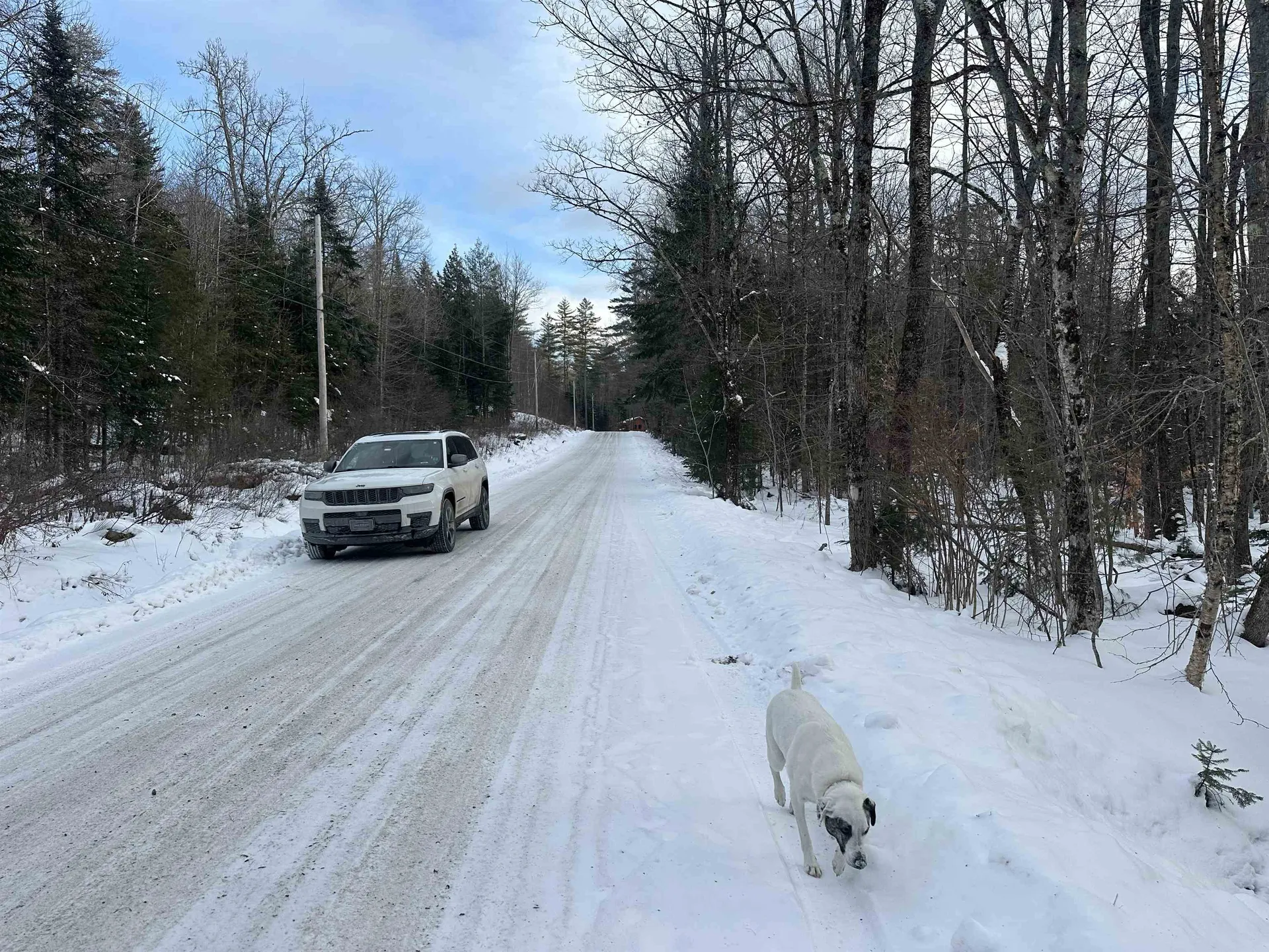 00 Loon Circle Londonderry VT 05155