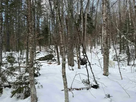 00 Loon Circle Londonderry VT 05155