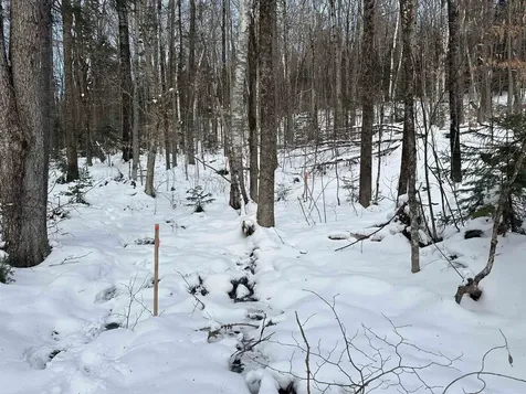 00 Loon Circle Londonderry VT 05155