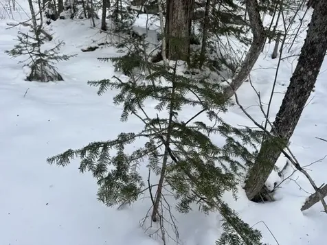 00 Loon Circle Londonderry VT 05155