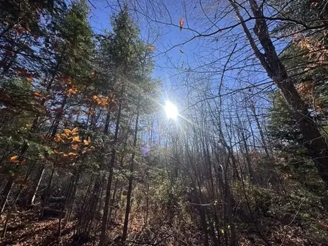 00 Loon Circle Londonderry VT 05155