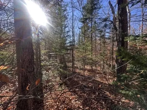 00 Loon Circle Londonderry VT 05155