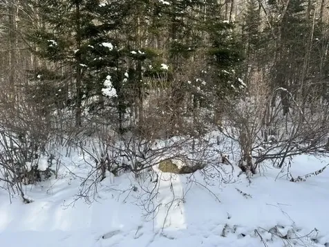 00 Loon Circle Londonderry VT 05155