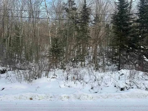 00 Loon Circle Londonderry VT 05155