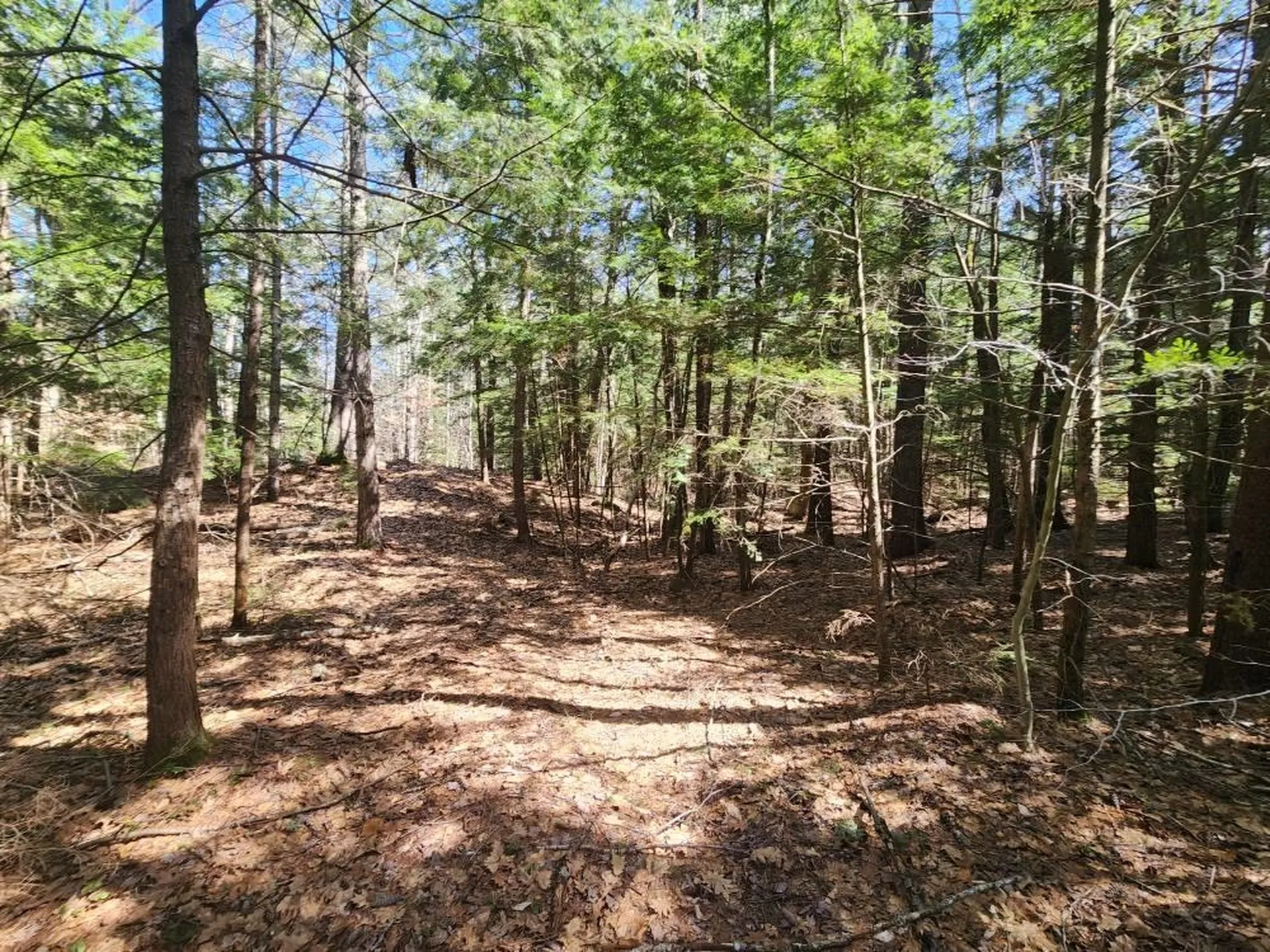 1 West Main Street Hillsborough NH 03244