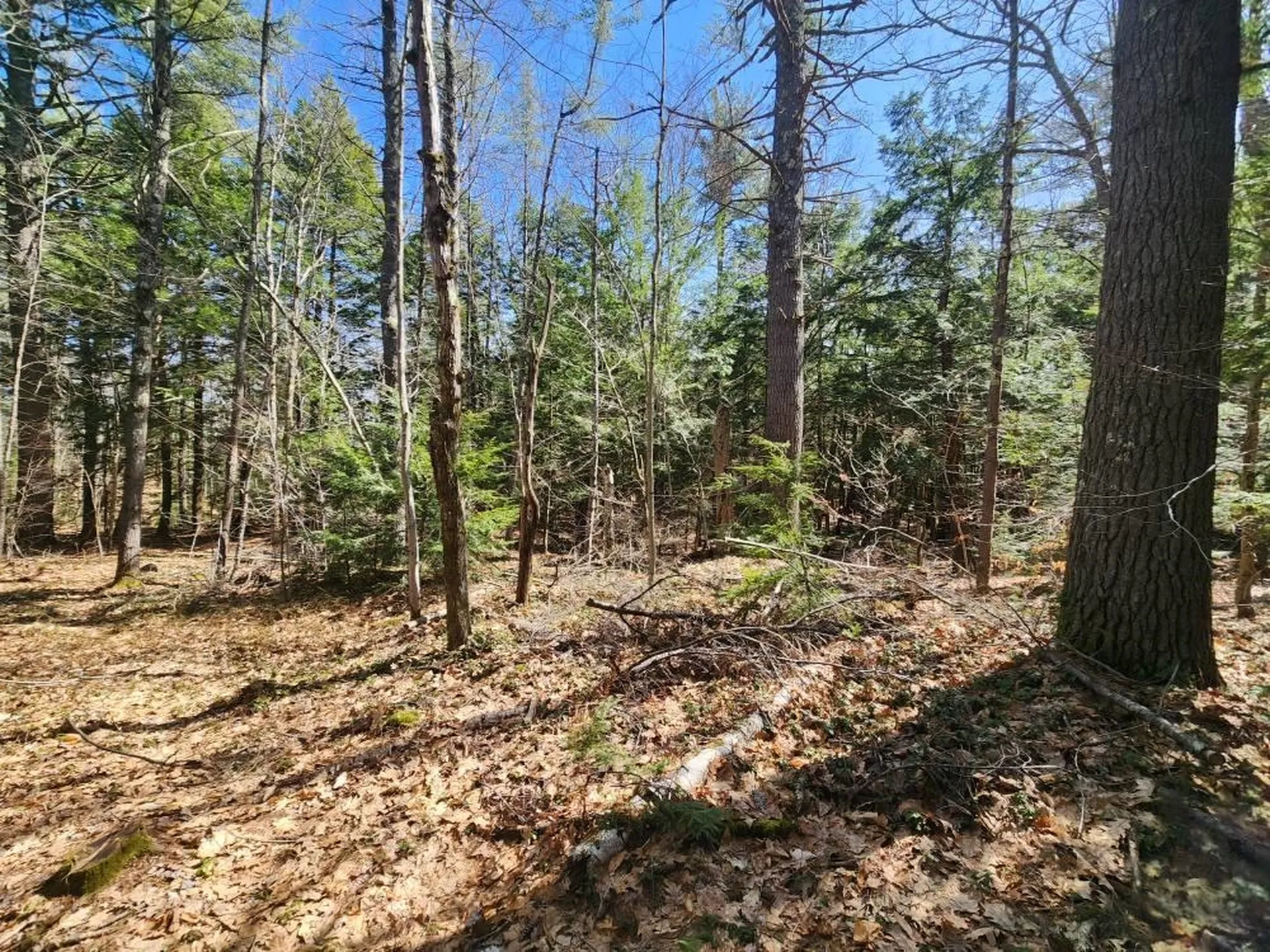 1 West Main Street Hillsborough NH 03244