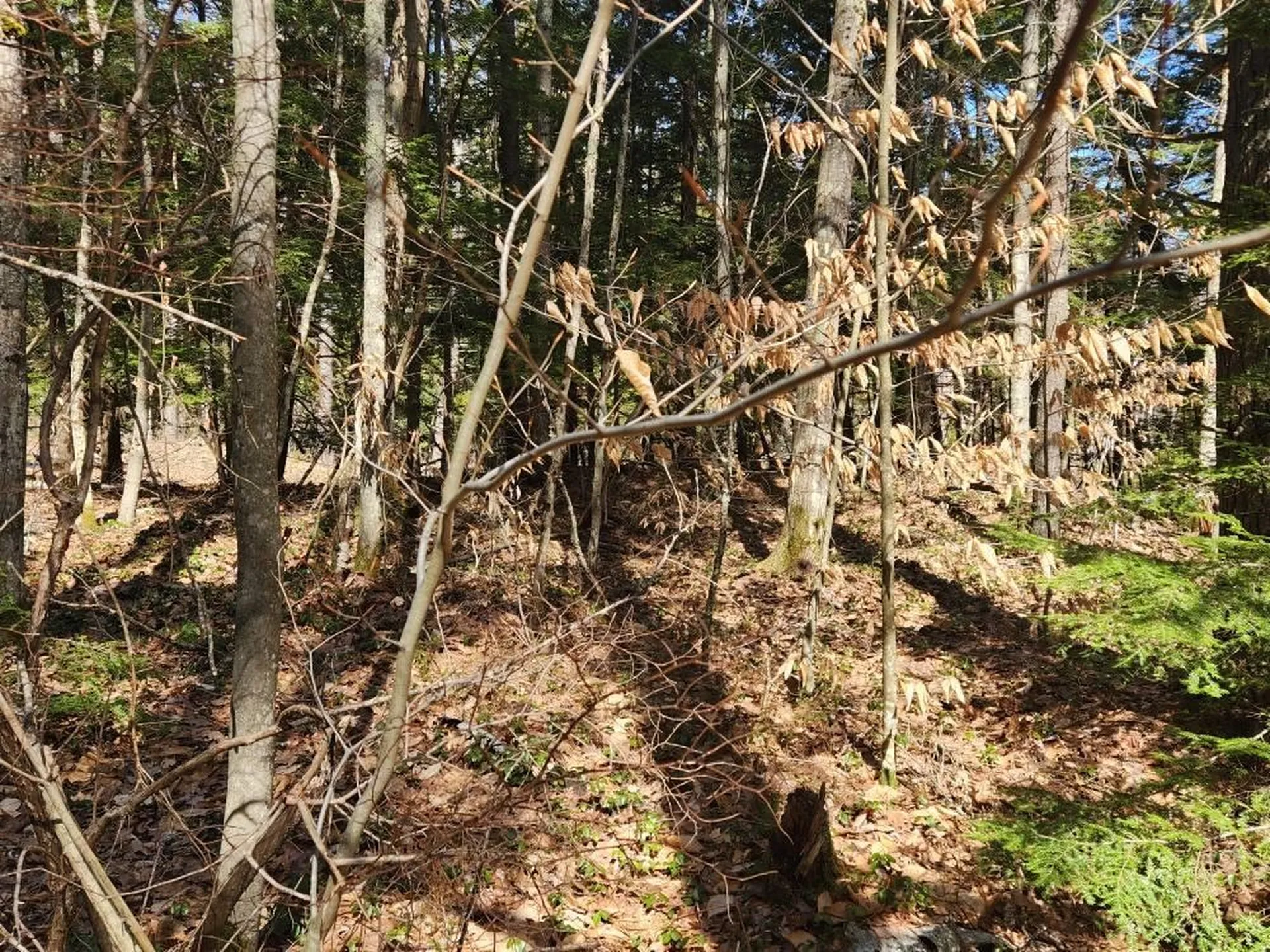 1 West Main Street Hillsborough NH 03244