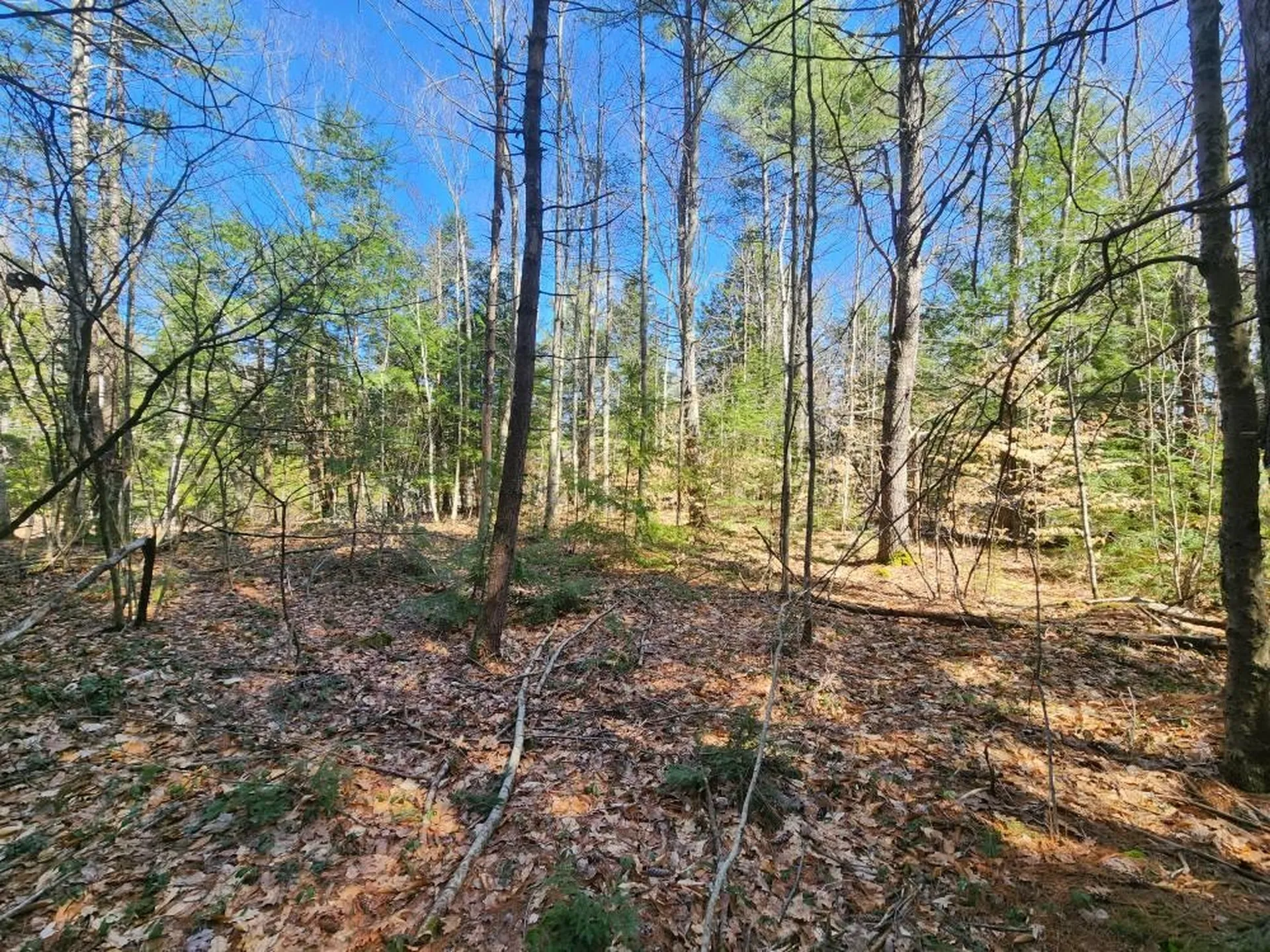 1 West Main Street Hillsborough NH 03244