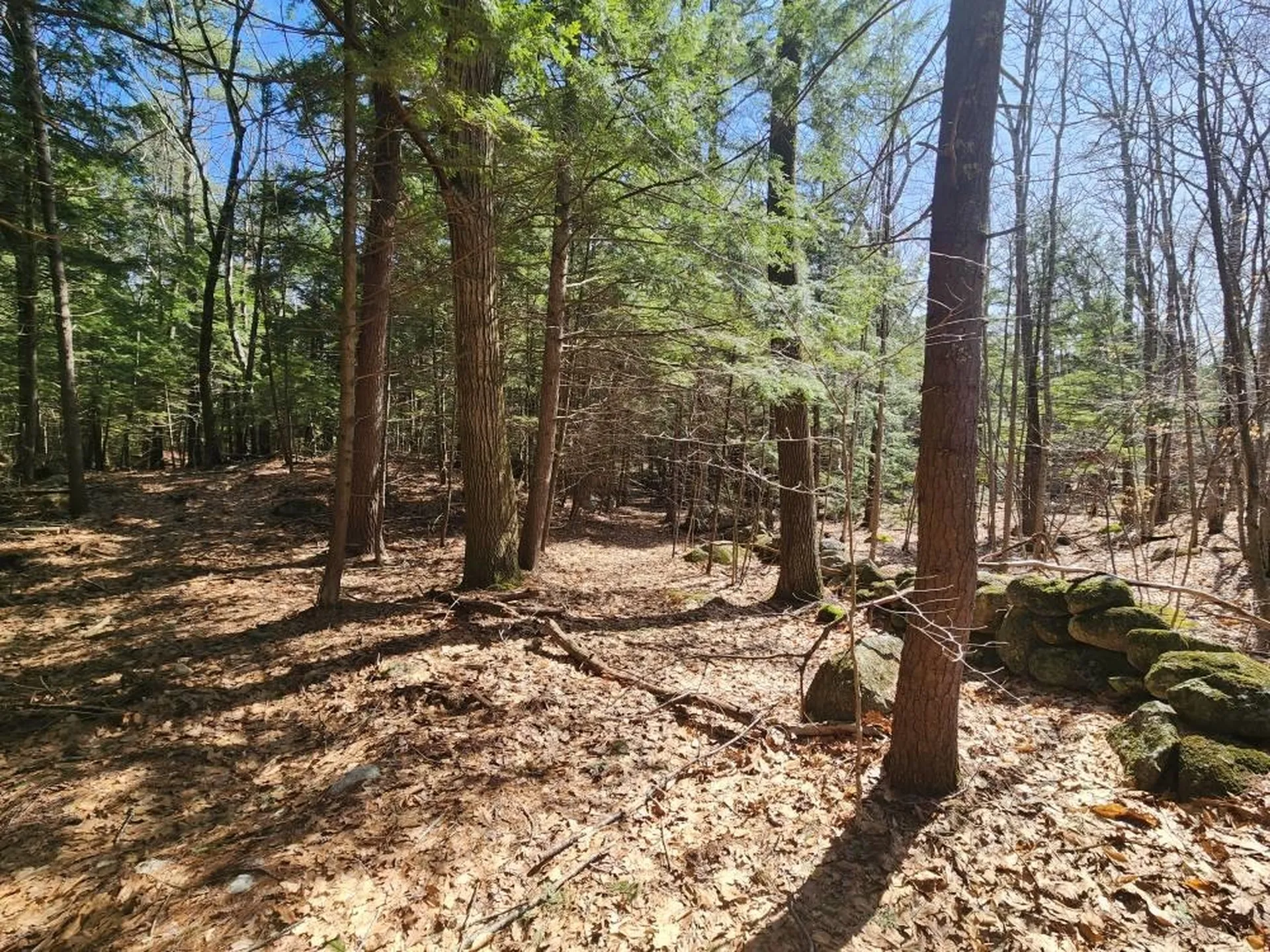 1 West Main Street Hillsborough NH 03244