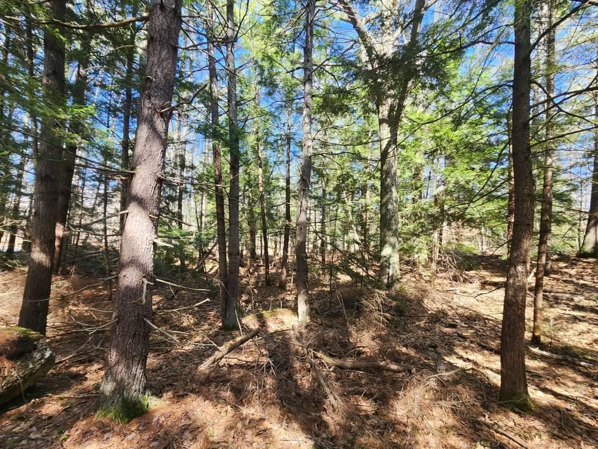 1 West Main Street Hillsborough NH 03244