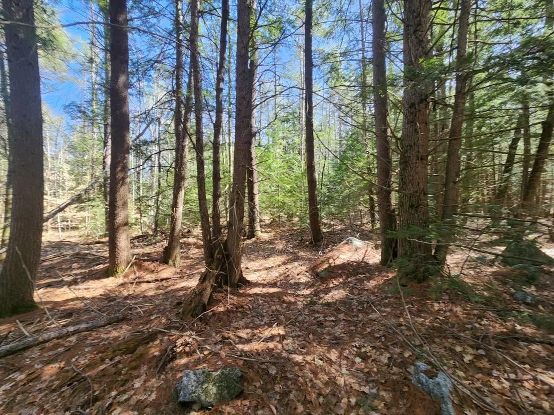 1 West Main Street Hillsborough NH 03244