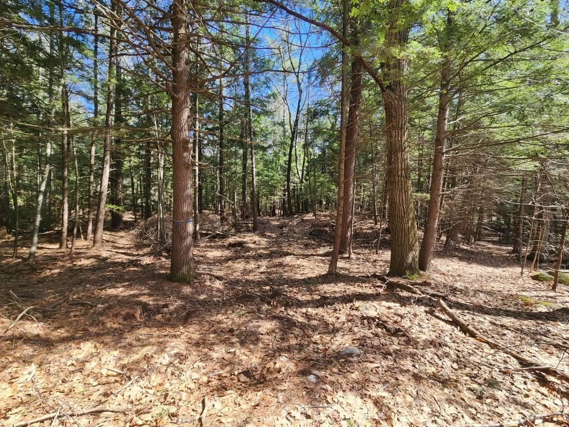 1 West Main Street Hillsborough NH 03244