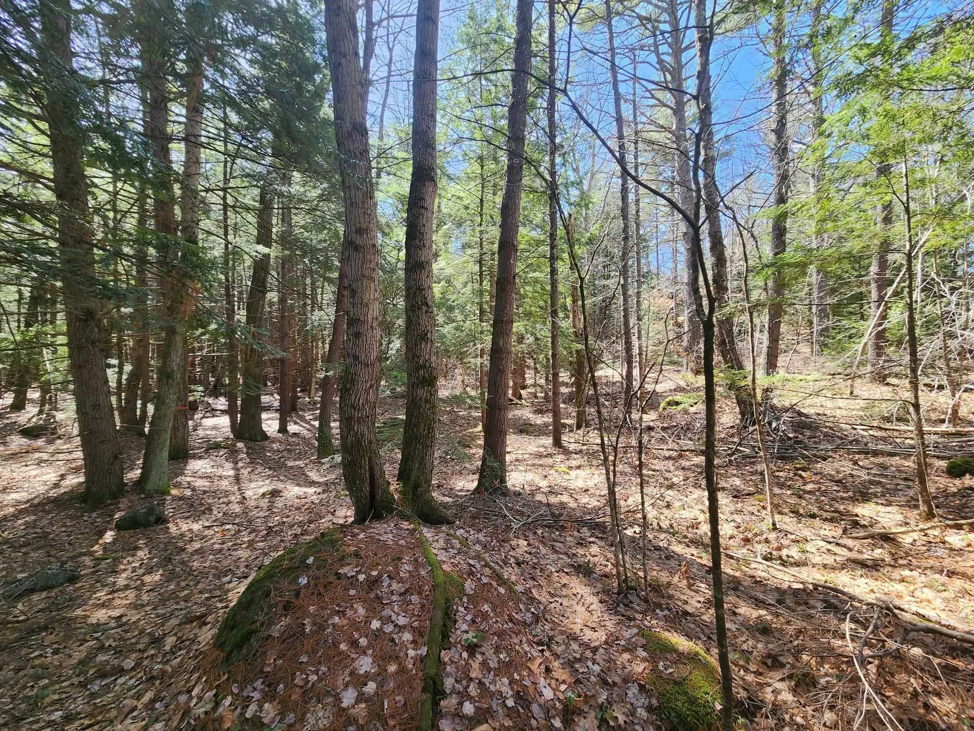 1 West Main Street Hillsborough NH 03244