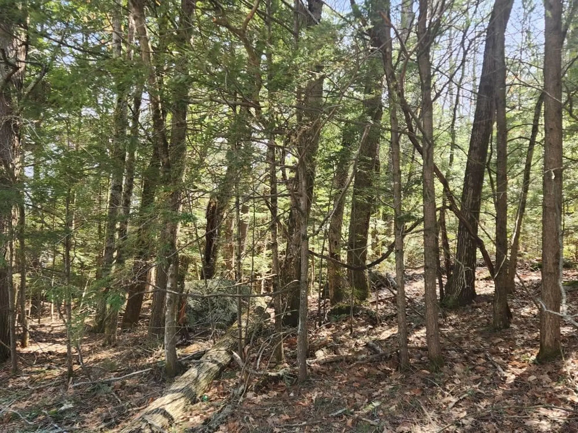 0 West Main Street Hillsborough NH 03244