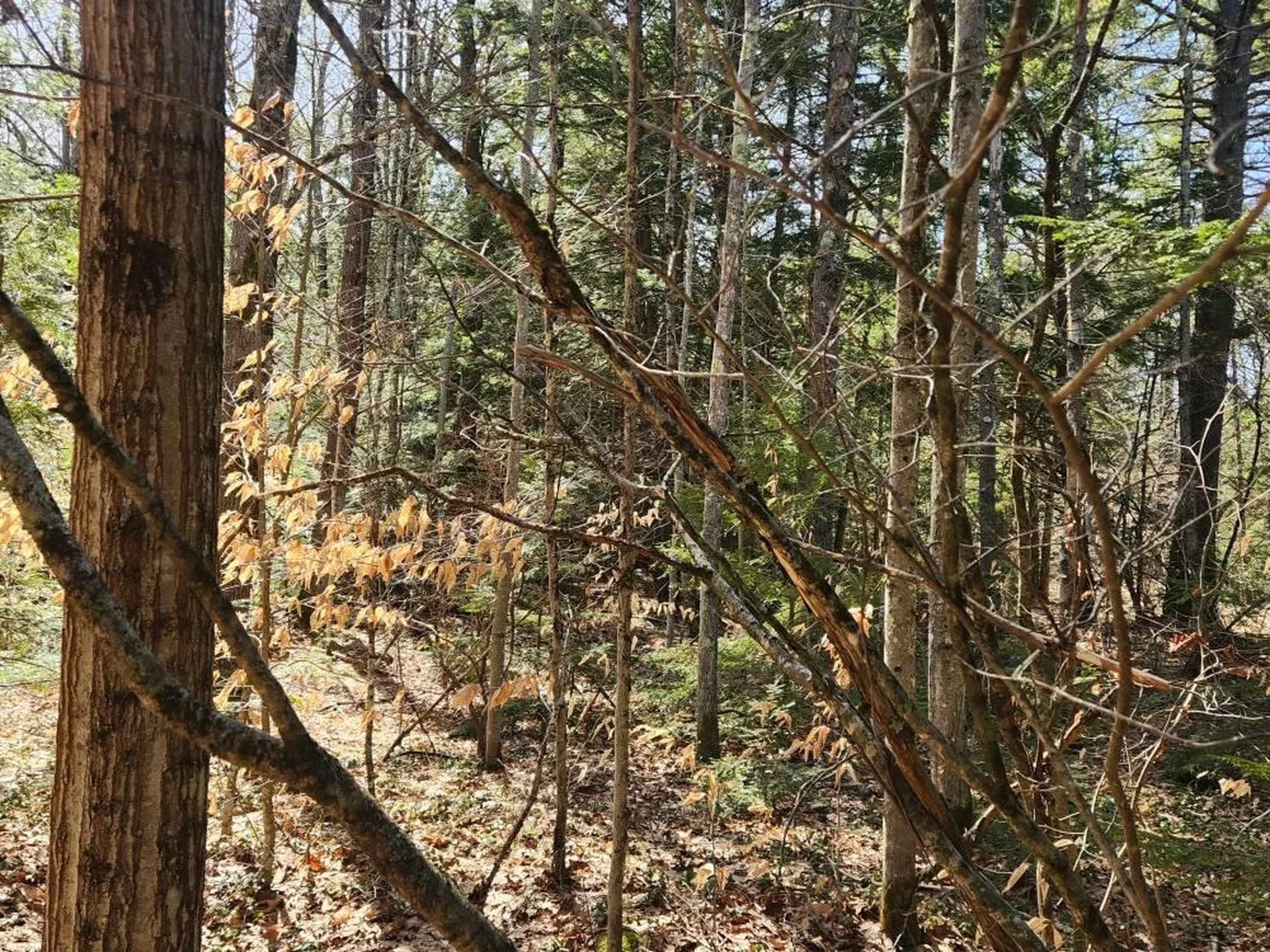 0 West Main Street Hillsborough NH 03244