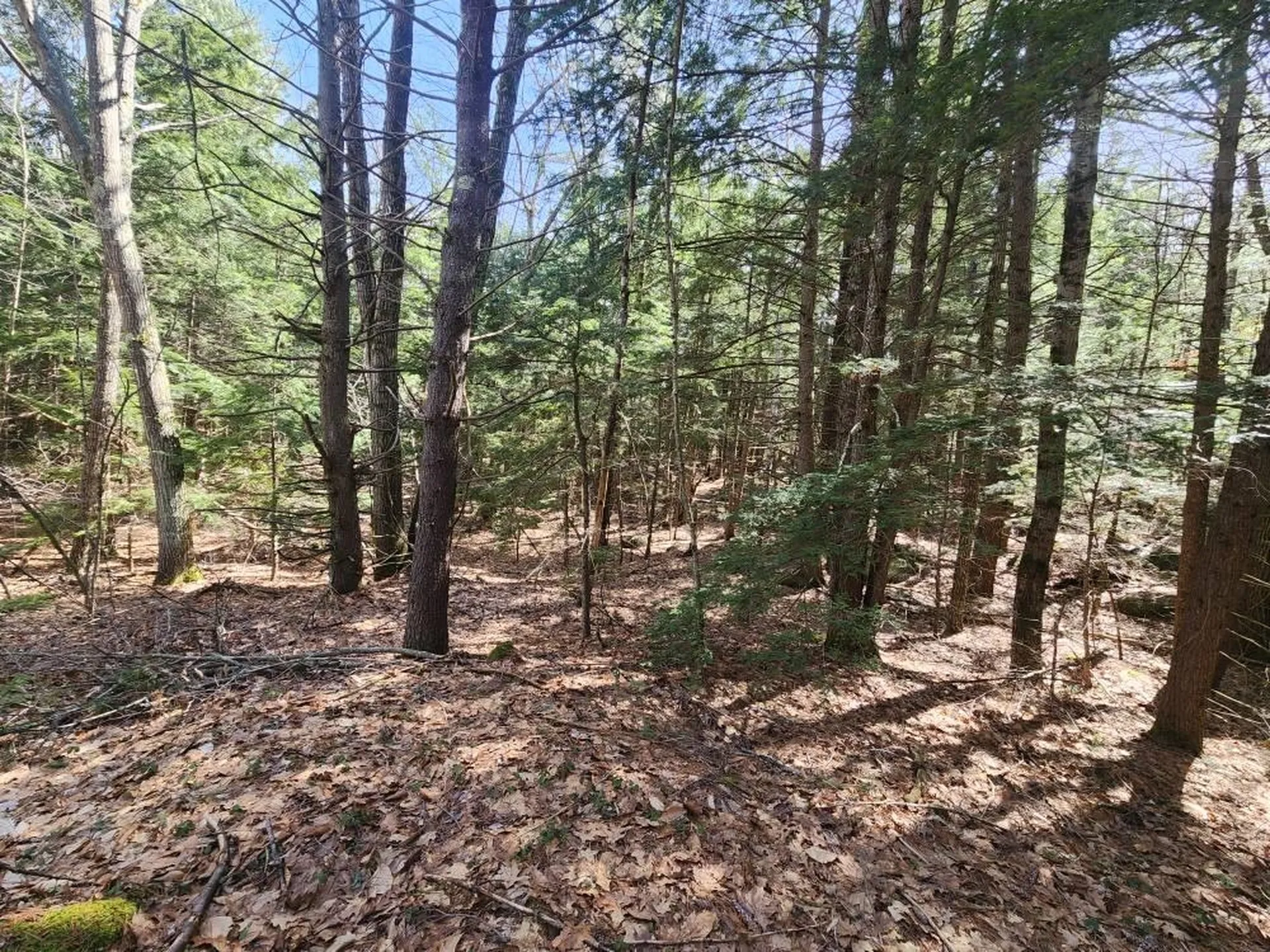 0 West Main Street Hillsborough NH 03244