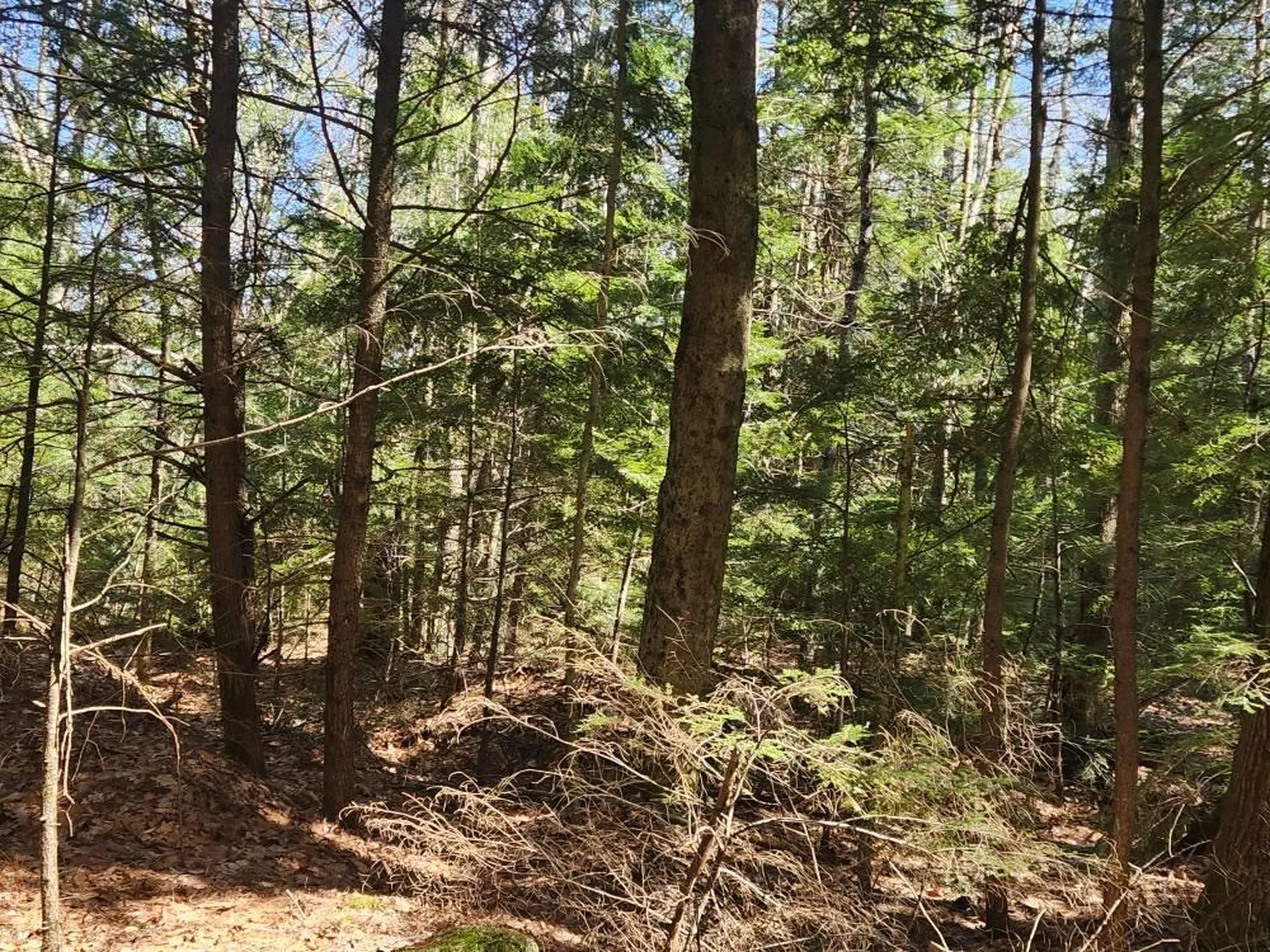 0 West Main Street Hillsborough NH 03244