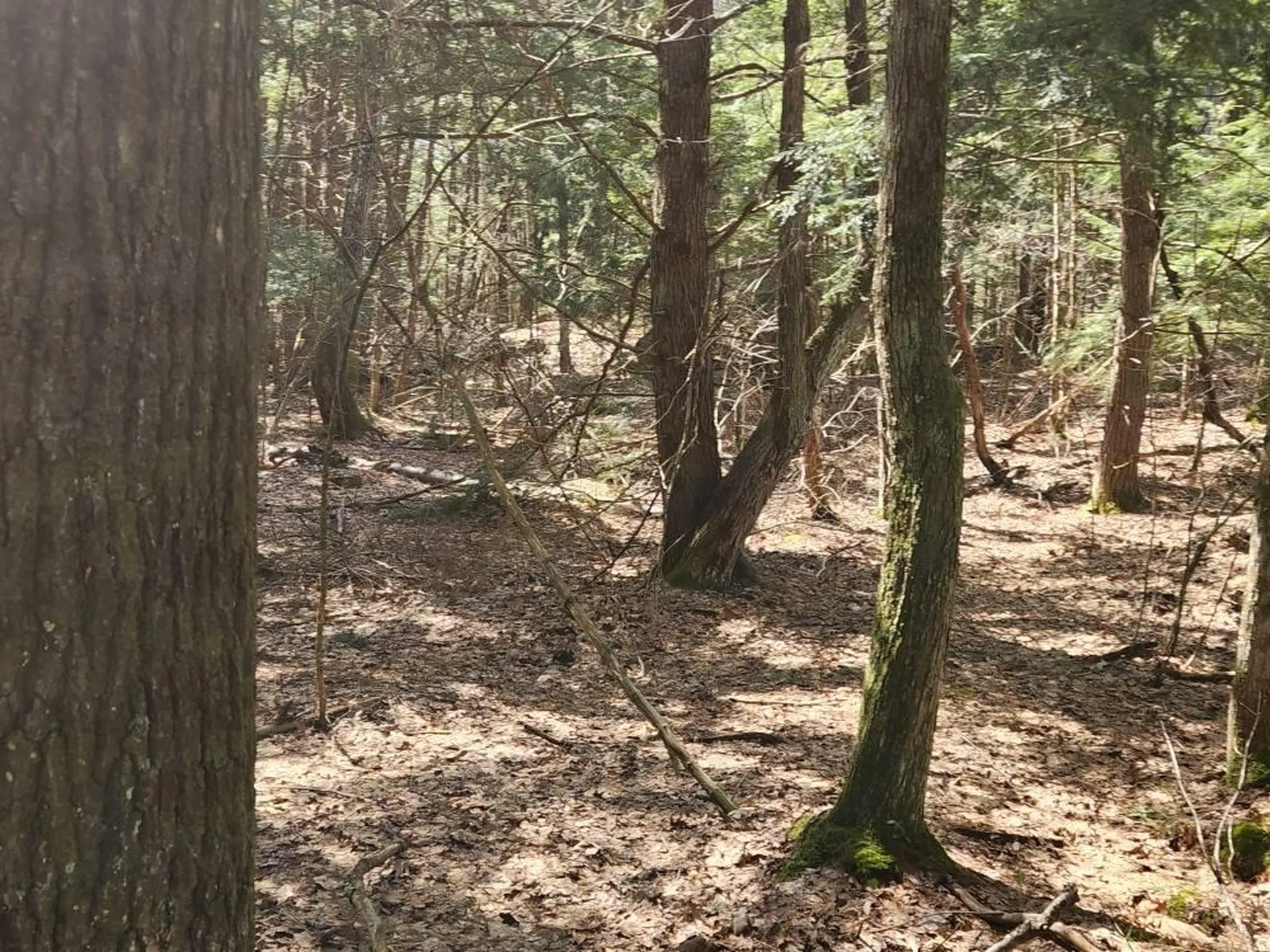 0 West Main Street Hillsborough NH 03244