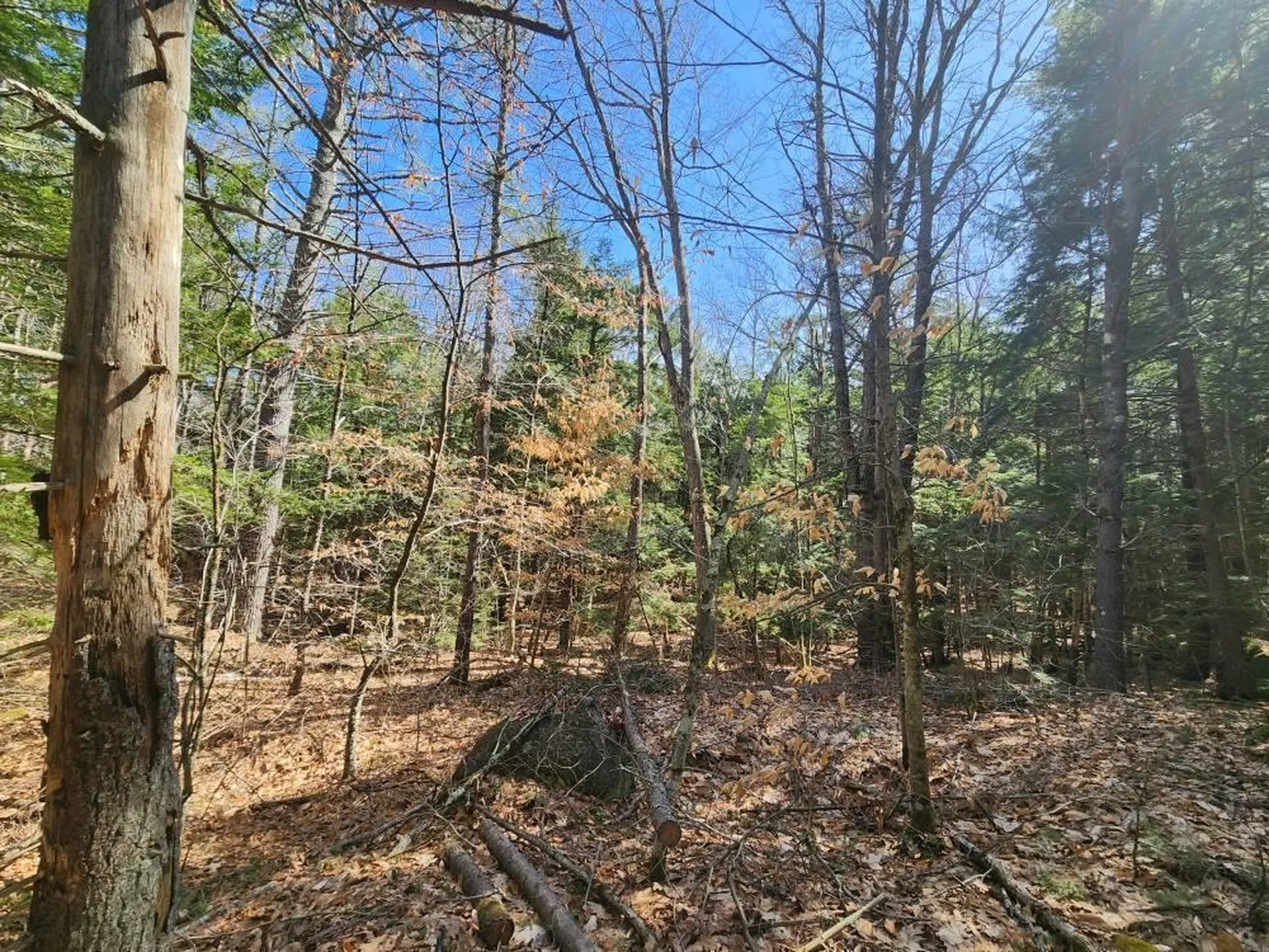 0 West Main Street Hillsborough NH 03244