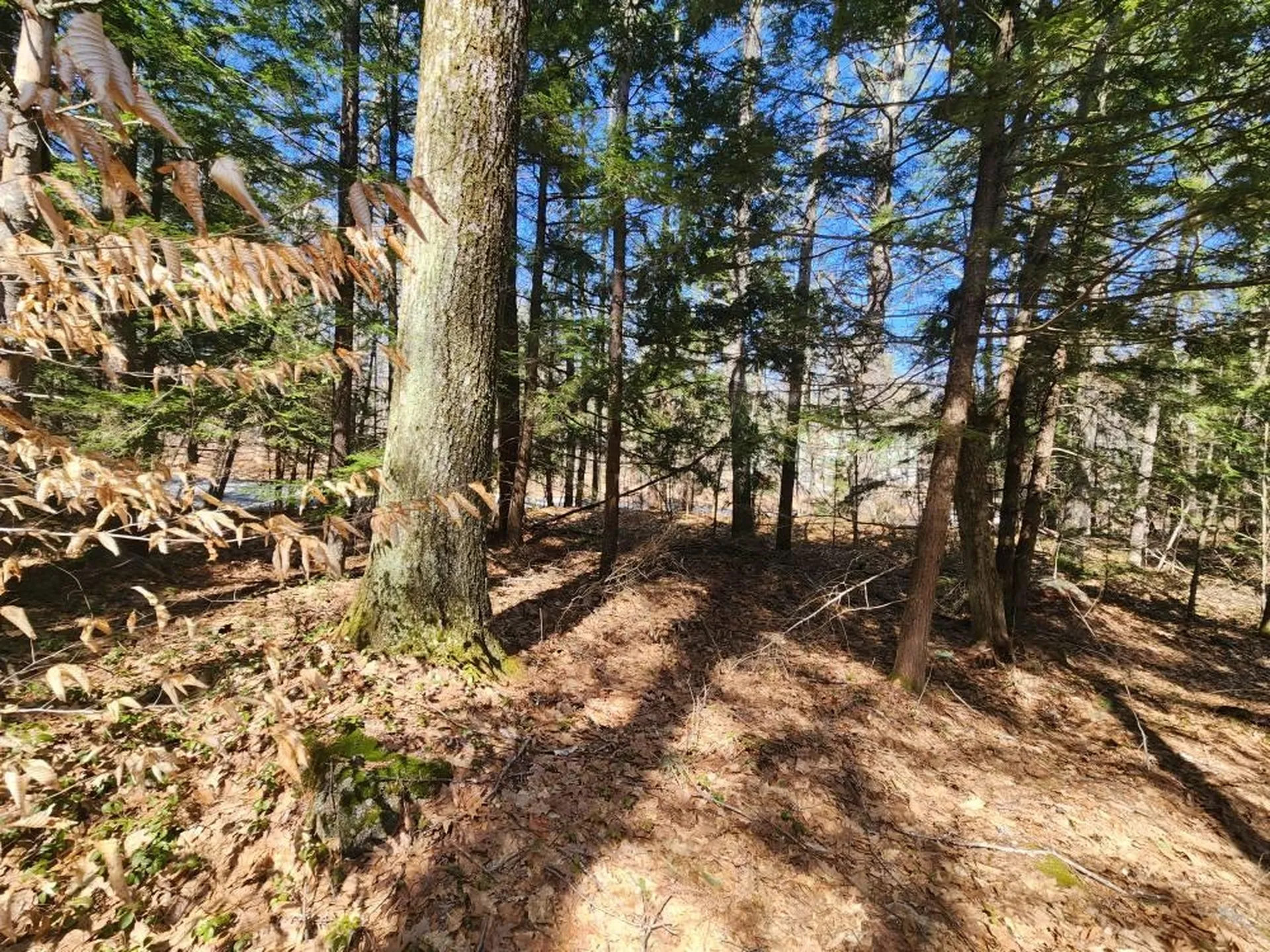 0 West Main Street Hillsborough NH 03244