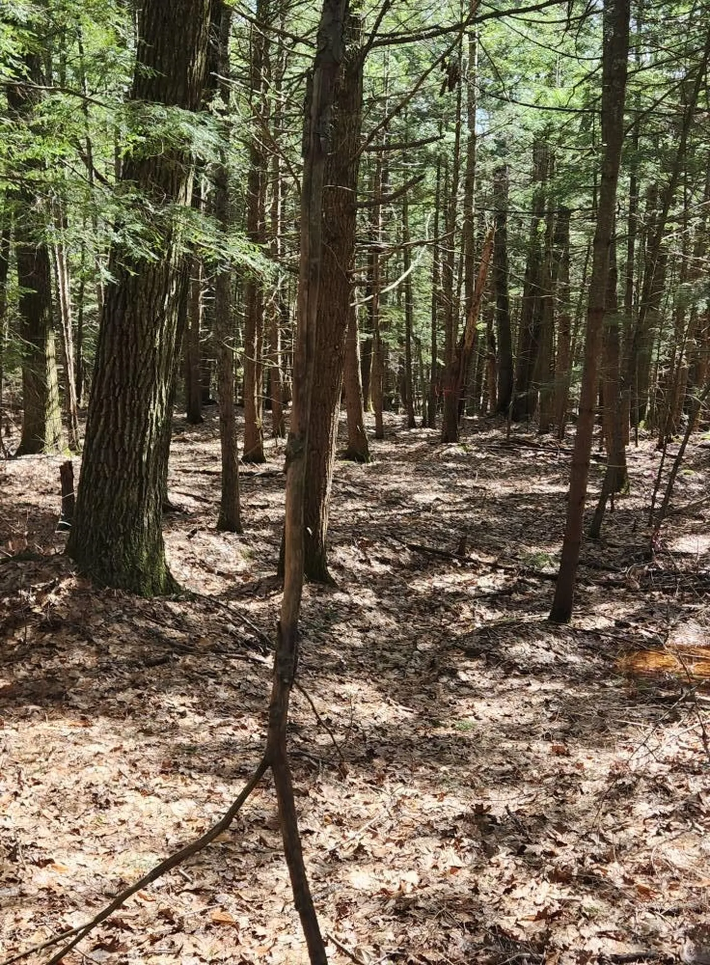 0 West Main Street Hillsborough NH 03244