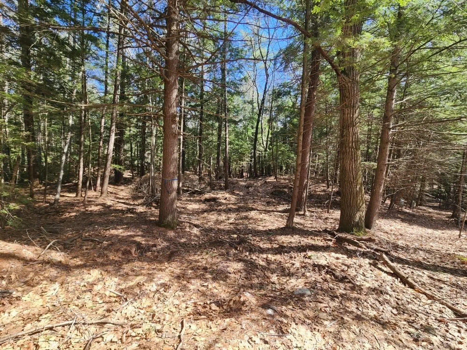 0 West Main Street Hillsborough NH 03244