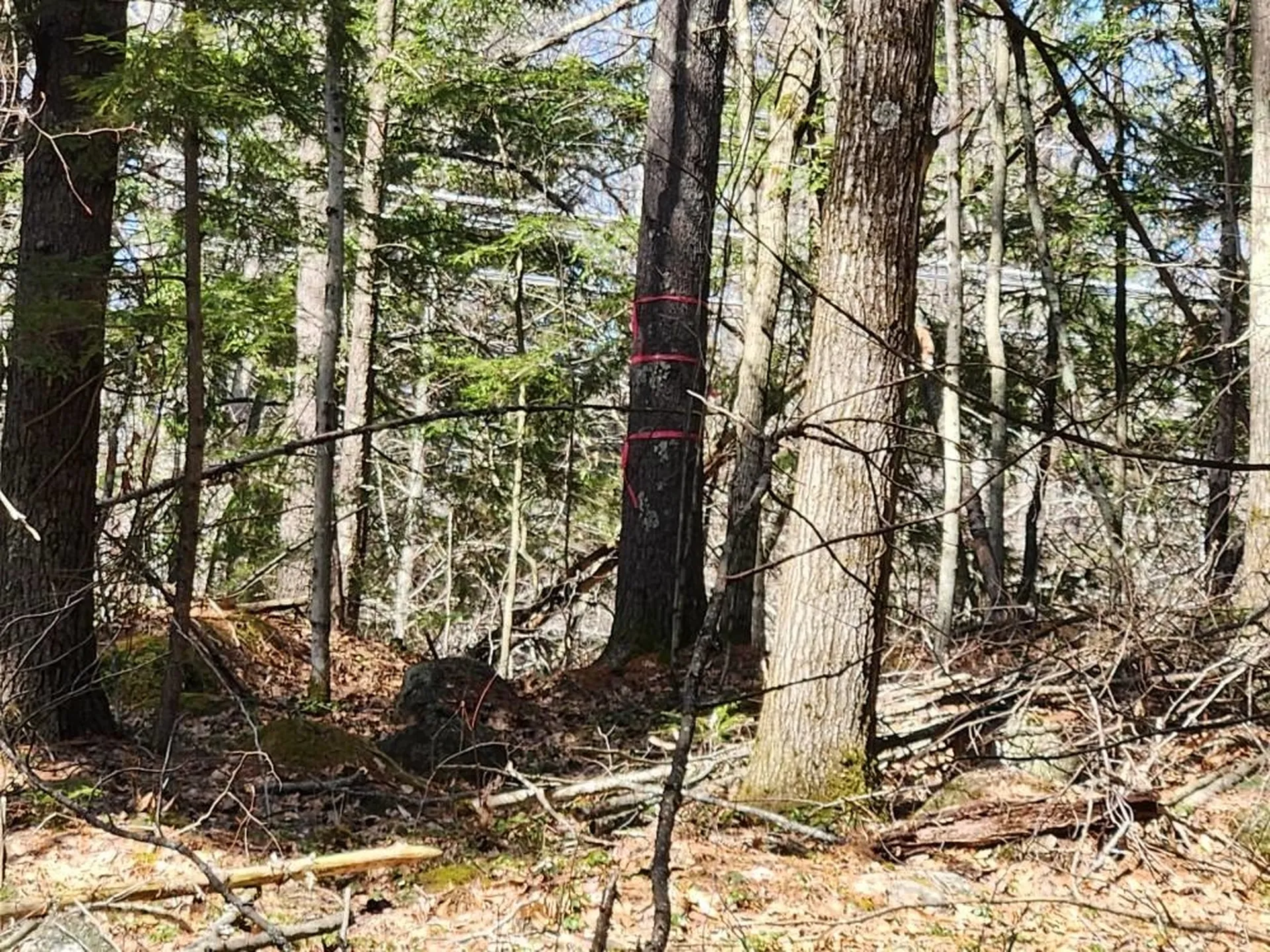 0 West Main Street Hillsborough NH 03244