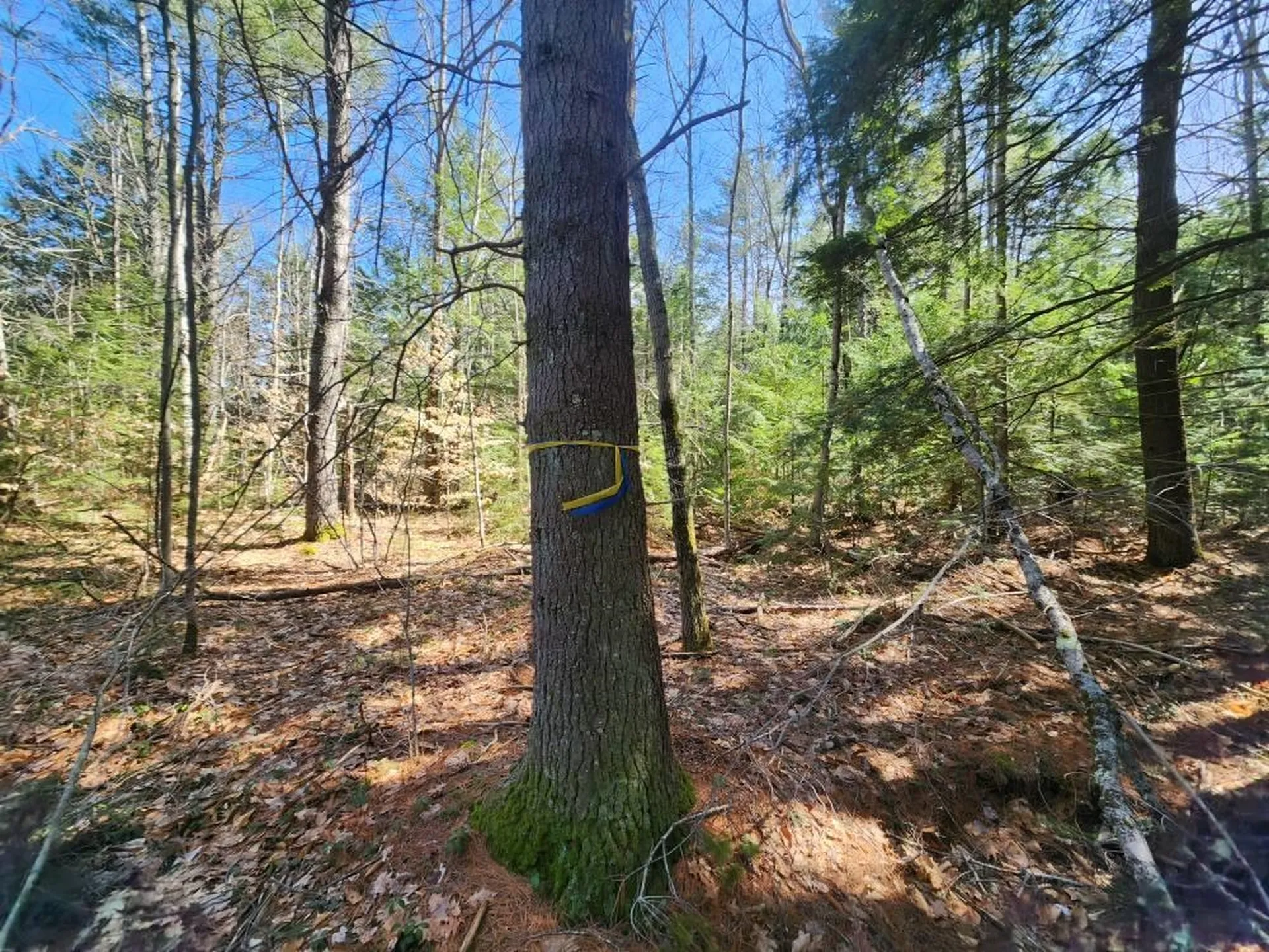 0 West Main Street Hillsborough NH 03244