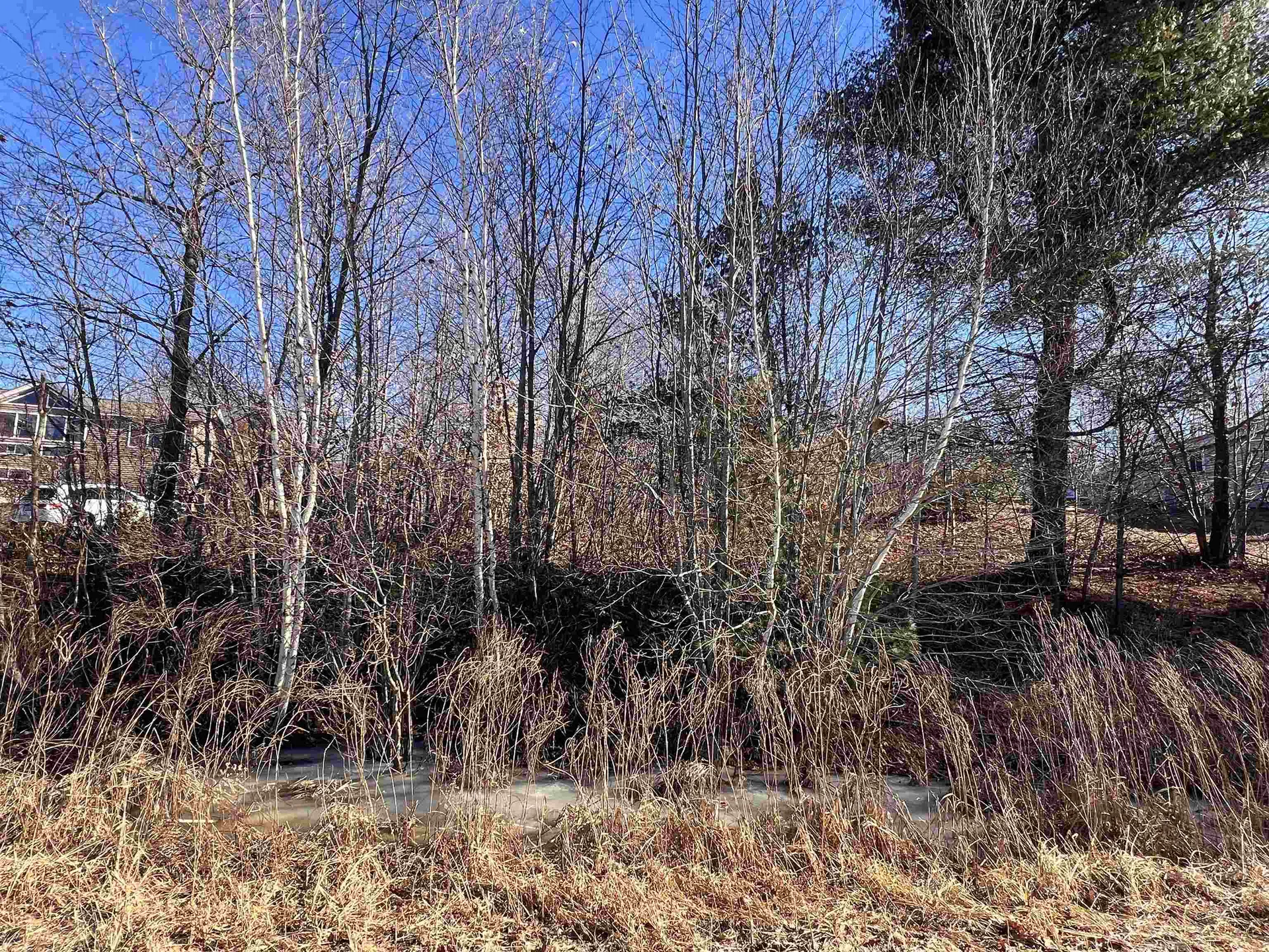 Map 46 Lot 4 North Barnstead Road Barnstead NH 03225