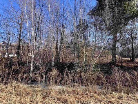 Map 46 Lot 4 North Barnstead Road Barnstead NH 03225