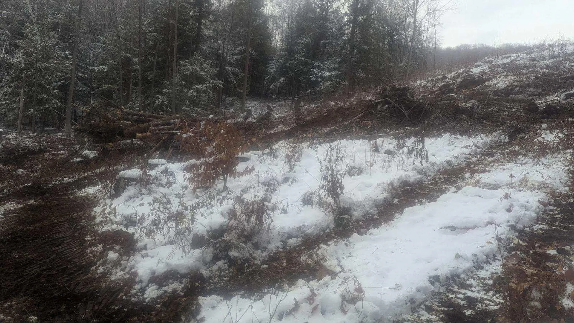 495 South Mendon Street Mendon VT 05701