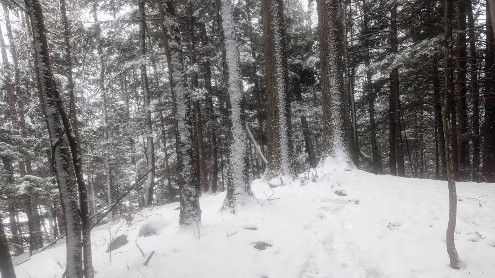 495 South Mendon Street Mendon VT 05701