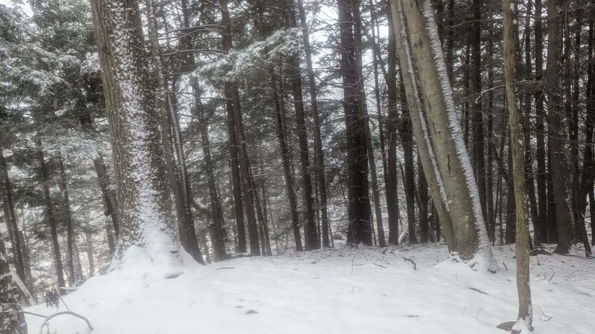 495 South Mendon Street Mendon VT 05701